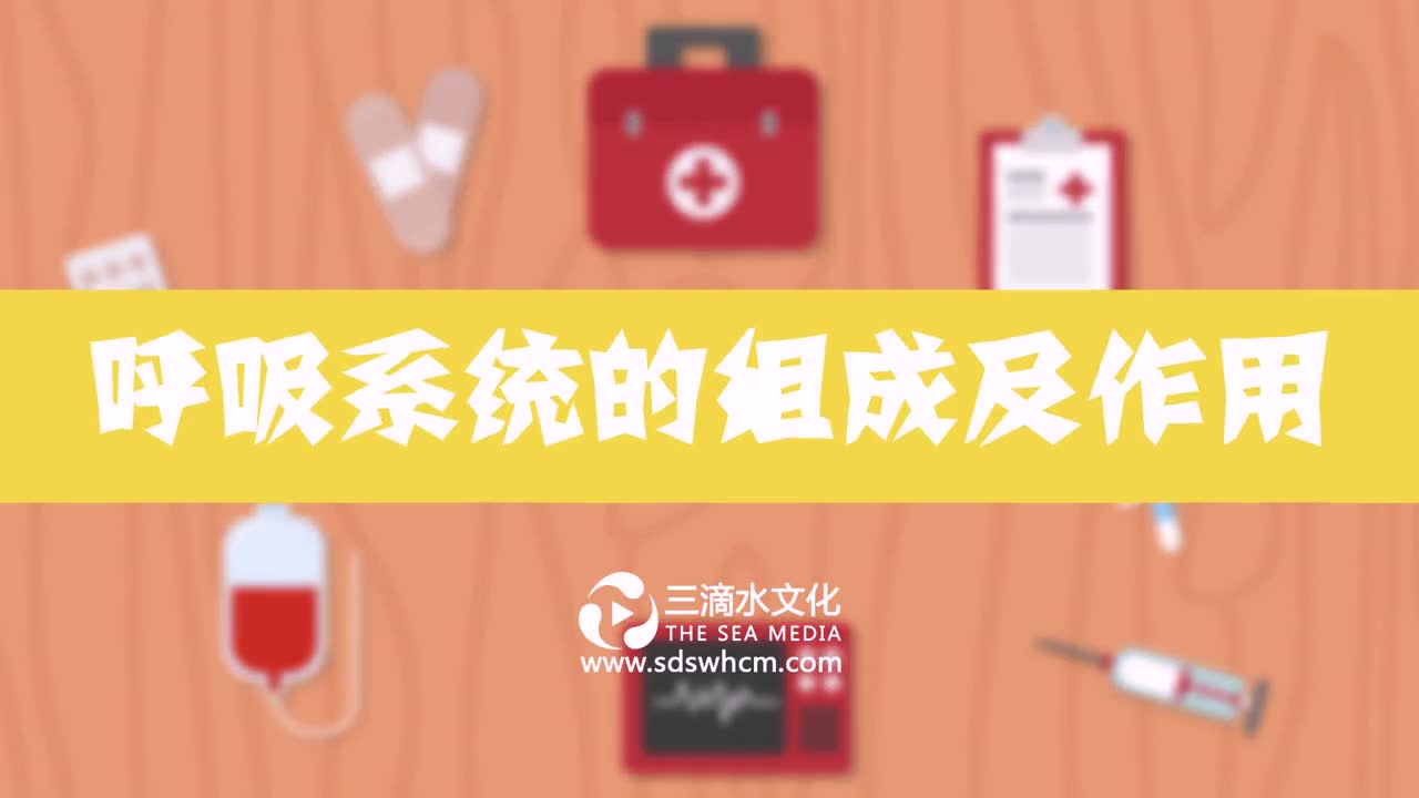 醫療動畫制作時應該注意的關鍵問題
