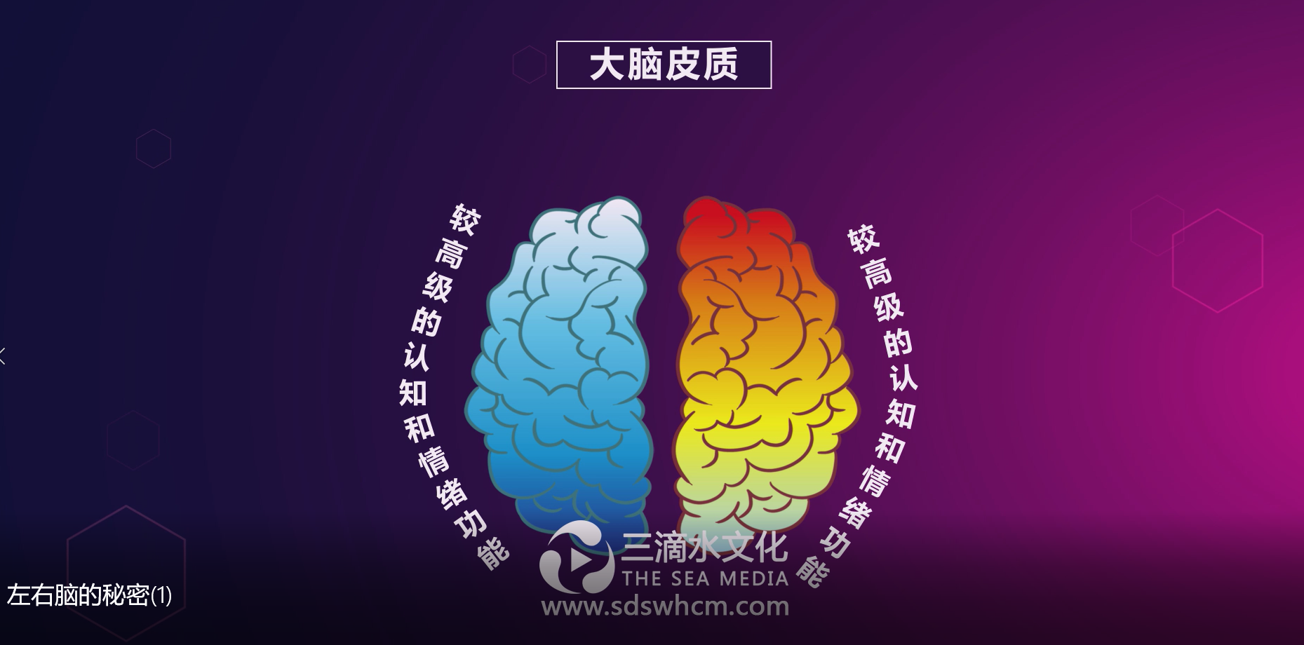 mg動(dòng)畫(huà)的出現(xiàn)引領(lǐng)了新一輪營(yíng)銷(xiāo)方式